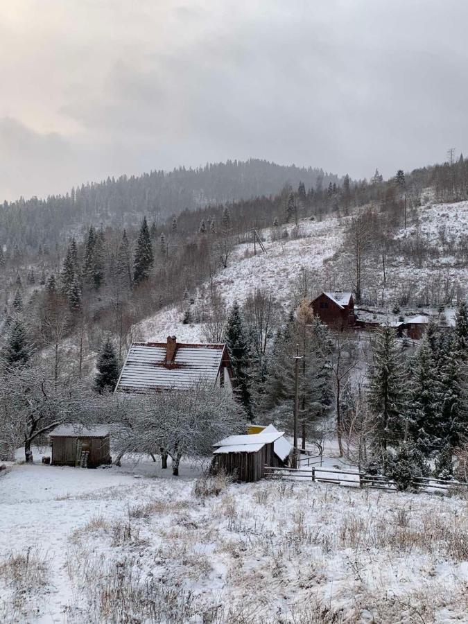 Sadyba Vanda Oryavchyk Esterno foto