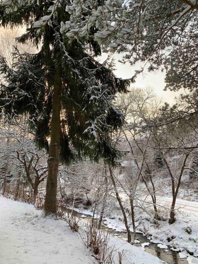 Sadyba Vanda Oryavchyk Esterno foto