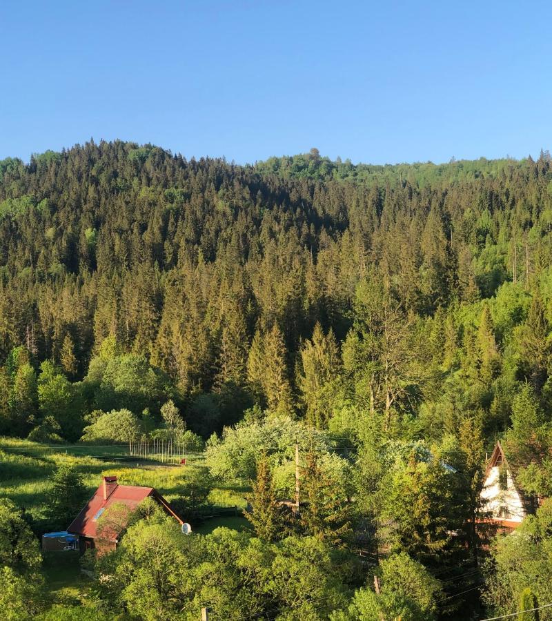 Sadyba Vanda Oryavchyk Esterno foto